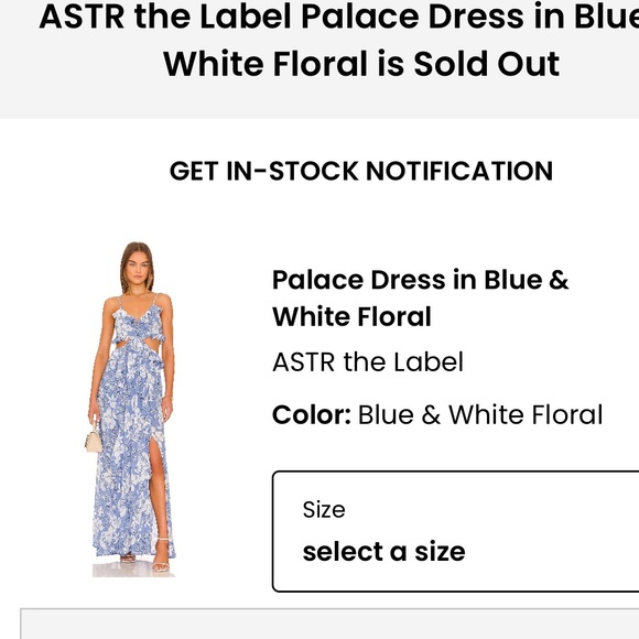 PALACE DRESS IN BLUE & WHITE FLORAL - Picture 6 of 6